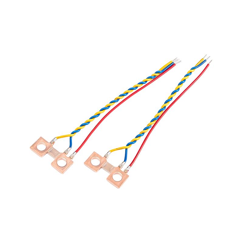 FHS-005 Shunt đồng có điện trở thấp có độ chính xác cao