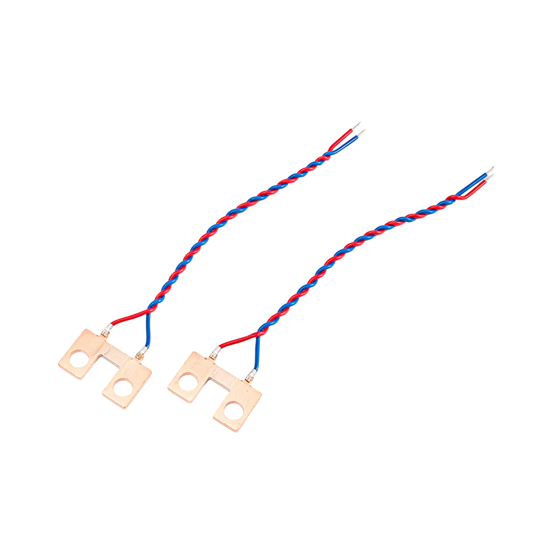 FHS-006 Shunt đồng hai dây có độ chính xác cao