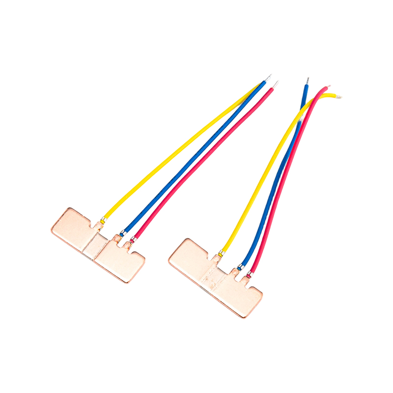 FHS-008 Shunt chính xác chống ồn công suất thấp
