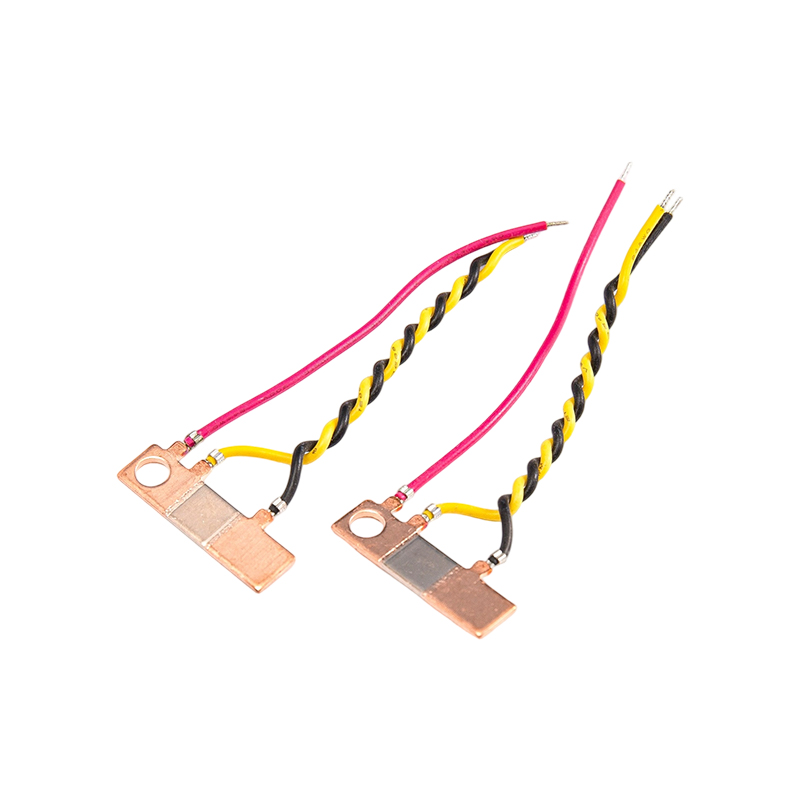 FHS-013 Shunt chịu nhiệt độ ổn định cao
